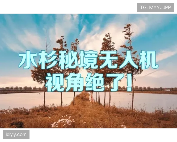 推人犯规的判定标准与实战场景解析